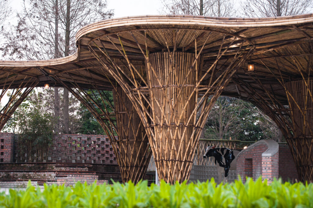 Bambú: un material sostenible que da un aire natural a tu casa